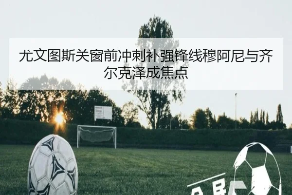 尤文图斯关窗前冲刺补强锋线穆阿尼与齐尔克泽成焦点